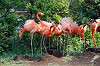 ueno_zoo_4071_mini.jpg