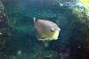 ueno_zoo_4095_mini.jpg