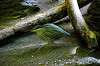 ueno_zoo_4145_mini.jpg
