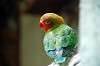 ueno_zoo_4166_mini.jpg