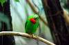 ueno_zoo_4175_mini.jpg
