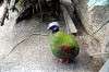 ueno_zoo_4216_mini.jpg