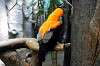 ueno_zoo_4218_mini.jpg