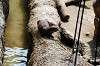 ueno_zoo_4246_mini.jpg