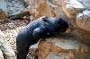 ueno_zoo_4270_mini.jpg