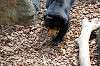ueno_zoo_4276_mini.jpg