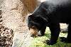 ueno_zoo_4285_mini.jpg