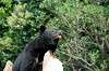 ueno_zoo_4318_mini.jpg