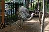 ueno_zoo_4382_mini.jpg