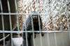 ueno_zoo_4490_mini.jpg