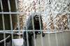 ueno_zoo_4491_mini.jpg