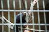ueno_zoo_4513_mini.jpg