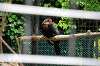 ueno_zoo_4539_mini.jpg