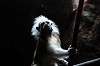 ueno_zoo_4545_mini.jpg