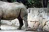 ueno_zoo_4596_mini.jpg