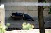 ueno_zoo_4707_mini.jpg