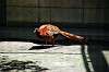 ueno_zoo_4725_mini.jpg