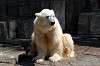 ueno_zoo_4732_mini.jpg