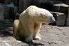 ueno_zoo_4736_mini.jpg