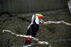 ueno_zoo_4763_mini.jpg
