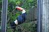 ueno_zoo_4774_mini.jpg