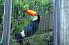 ueno_zoo_4775_mini.jpg