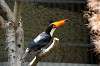 ueno_zoo_4778_mini.jpg