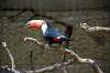 ueno_zoo_4780_mini.jpg