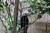 ueno_zoo_4806_mini.jpg