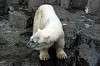 ueno_zoo_4837_mini.jpg