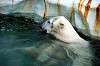 ueno_zoo_4842_mini.jpg
