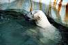 ueno_zoo_4843_mini.jpg