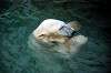ueno_zoo_4850_mini.jpg
