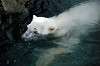 ueno_zoo_4857_mini.jpg