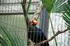 ueno_zoo_4915_mini.jpg