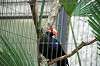 ueno_zoo_4916_mini.jpg