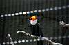 ueno_zoo_4943_mini.jpg
