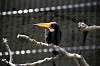 ueno_zoo_4946_mini.jpg