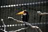 ueno_zoo_4947_mini.jpg