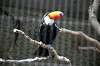 ueno_zoo_4974_mini.jpg