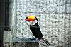 ueno_zoo_4981_mini.jpg