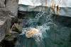 ueno_zoo_4995_mini.jpg