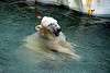 ueno_zoo_4996_mini.jpg