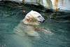 ueno_zoo_4997_mini.jpg