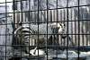 ueno_zoo_5025_mini.jpg