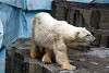 ueno_zoo_5034_mini.jpg