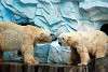 ueno_zoo_5041_mini.jpg