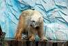 ueno_zoo_5042_mini.jpg