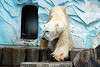 ueno_zoo_5043_mini.jpg