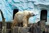 ueno_zoo_5046_mini.jpg